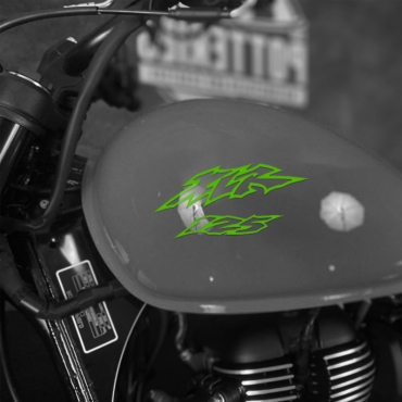 Наклейка на мотоцикл Honda XLR25