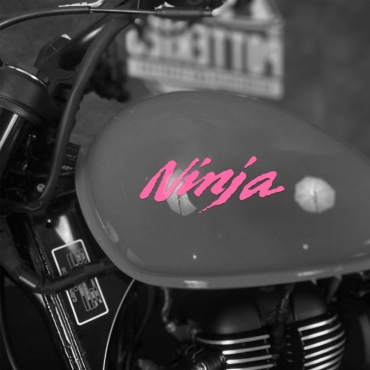 Наклейка Kawasaki Ninja