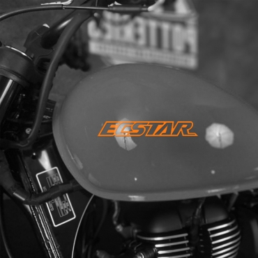 Наклейка на мотоцикл Suzuki ECSTAR