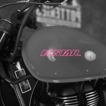 Наклейка на мотоцикл Suzuki ECSTAR