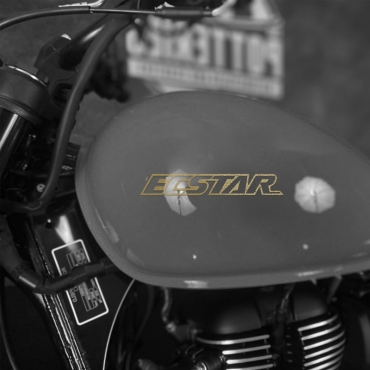 Наклейка на мотоцикл Suzuki ECSTAR